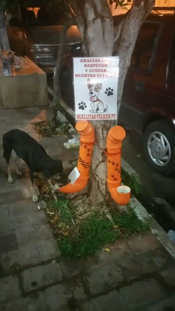 Como hacer un dispensador de comida para perros callejeros