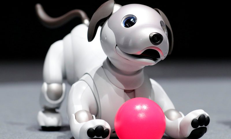 Robot mascota con inteligencia artificial